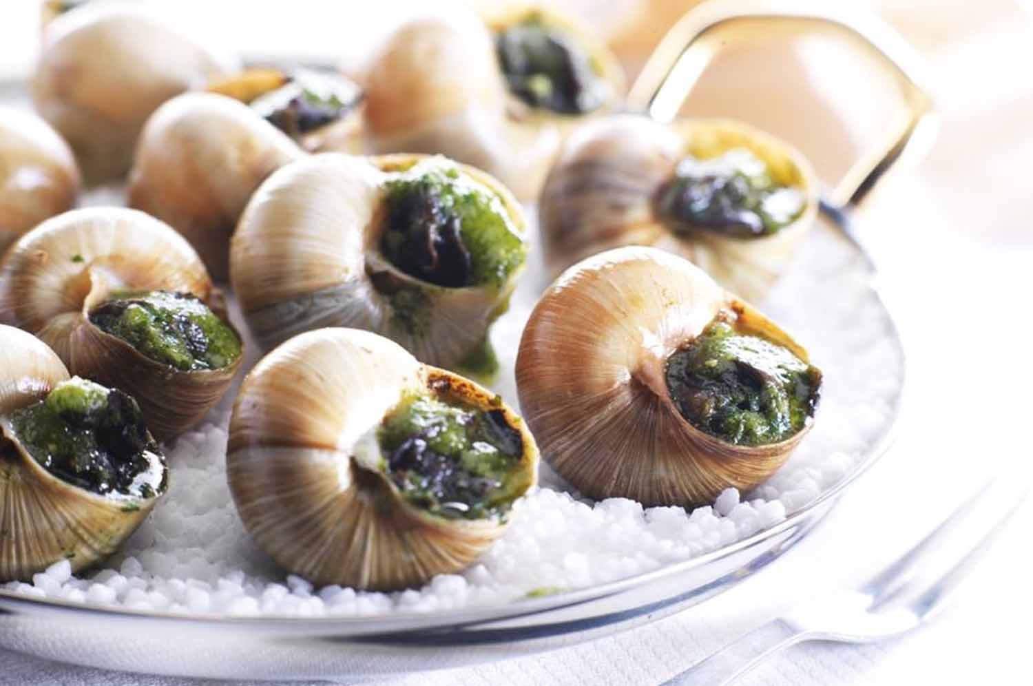 Эскарго что это. Улитка Виноградная escargots. Эскарго Франция. Эскарго де Бургонь. Улитки Эскарго де Бургонь.